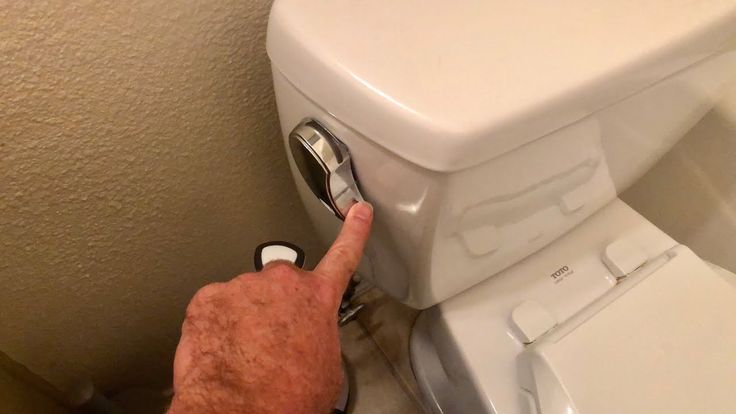 You press the toilet handle